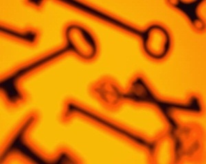 partners image